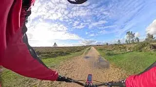 Gopro Max 2 Test