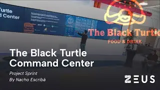 Project Sprint: The Black Turtle