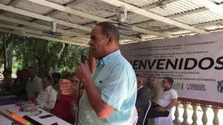 Se cae la procuccion de bananos por falta de haitianos