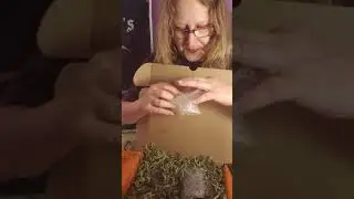 Unboxing of Sept The Witches Moon Subscription box