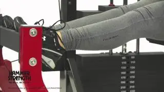 Hammer Strength Select Horizontal Calf