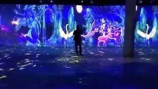 DeFi Interactive Floor/Wall System Display