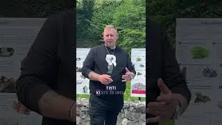 Kateri kristali ne smejo pod vodo?