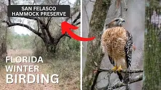 Winter Birding and Hiking in Florida!