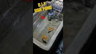 How to Make a DIY MINI Fish Pond 🐠🌿 #shorts #viral #aquarium #aquaticpets
