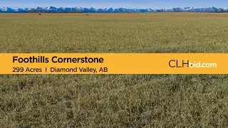 Foothills Cornerstone I AB Farm Land For Sale I Diamond Valley, AB