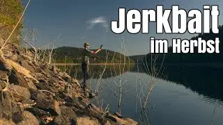 Jerkbait Angeln auf Hecht im Herbst an der Talsperre Klingenberg