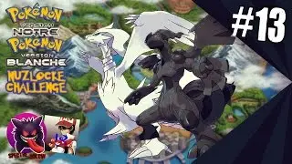 Let's Play Pok&eacute;mon Noir Blanc Nuzlocke Challenge #13 Coop Croller1811 l'ar&egrave;ne de M&eacute;anville !  EMOLGA