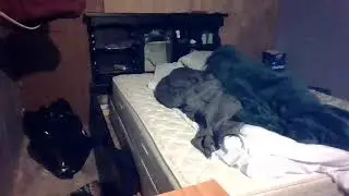 sleep stream
