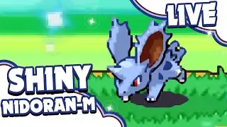 Live Shiny Nidoran-Male After A Chain Of 41 Via PokeRadar - Pokemon Platinum