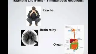 The Art and Science of Self Healing