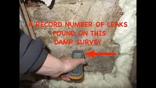Survey showing why there is rising damp, because of many leaks