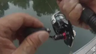 Lost catfish at Puddingstone Lake