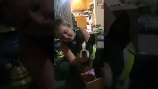 Bark Box unboxing July