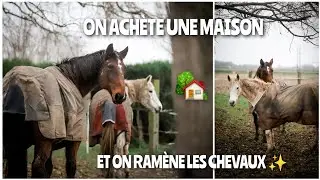 ON RÉALISE UN RÊVE 🏡 || LES CHEVAUX À LA MAISON ✨️ PARTIE 1