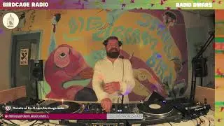 Niels Klein - RD X Birdcage Radio #2