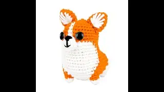 Corgi（1）