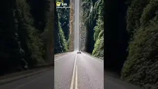 Beautiful road travel with awesome nature😍😍🤡🥳#nature #road #shorts