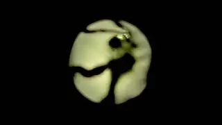 Asemic Force Microscopy - In vivo text scanning