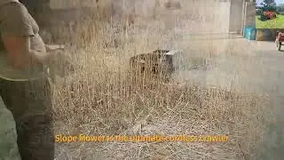 Vigorun Tech remote control crawler slasher mower