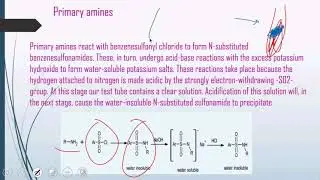 Practical Organic Chemistry(Identification of Amines