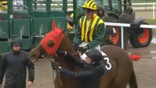 PAU-FRANCE  RACE 7  -  09 JAN 2026