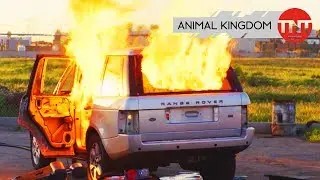 Animal Kingdom | Behind-the-Scenes: Meet the Codys | TNT Serie