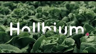 Hollbium - hyper local farming with hydroponics for a sustainable future