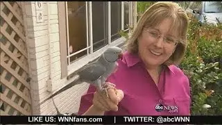 Pet Parrot Saves Family from Florida House Fire