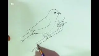 How to draw ✍️ simple bird 🐦 sketch #drawing #artist #subscribemychannel 