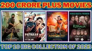 Top 10 Movies of 2023 With 200 Crore Plus Box Office Collection