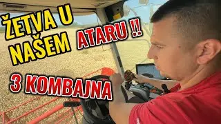 ŽETVA U NAŠEM ATARU !!!