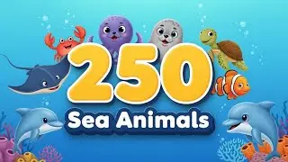 250 Sea Animal Sounds for Kids 🐳 | Whale, Orca, Seal | Learn Animals Fast