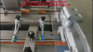 Automatic cleaning schist material counting and packaging machine