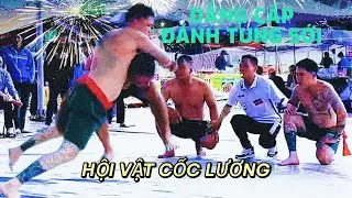 Hót đẳng cấp vật đánh tung sới cốc lương Top-tier Vietnamese wrestling