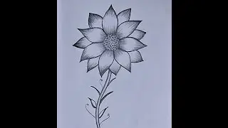 Very easy sunflower drawing method step by step Easy pencil drawings for beginners