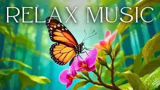 This took my stress away instantly! REAL human-made relax music by Yevhen Lokhmatov