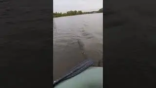 лодочный, бесщеточный электромотор с Алиэкспресс.от 12vдо24v