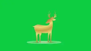 Christmas Golden Deer Animation | Green Screen