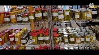 DOWNEY'S FARM MARKET CALEDON ONTARIO,STRAWBERRY PICKING