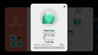 Creatures of the Deep - Pinctada