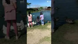 #kidsvideo #kidsoutdooractivities