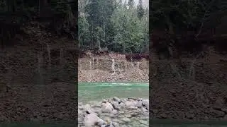 #fishtechy #oros a#troutfishing #washington #flood #salmon