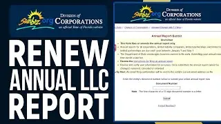 Как обновить годовой отчет вашей компании LLC во Флориде с помощью Sunbiz: полное руководство