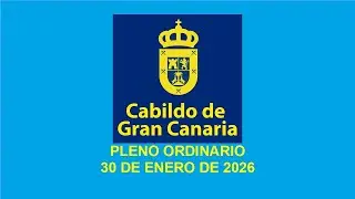 PLENO ORDINARIO 30 DE ENERO DE 2026