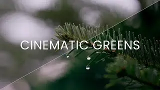 Cinematic Greens - Let's Color Grade Episode 5 // Davinci Resolve 18