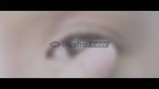 illustro 1 Day
