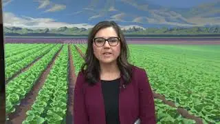 Elsa Jimenez - Monterey County Weekly