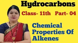 Hydrocarbons | Part -04 | Class 11th | CBSE, ISC | Mrs Sheetal Kandari 