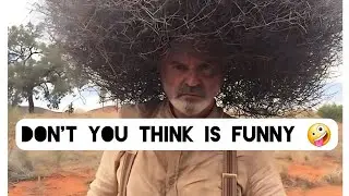 The most crazy funny and creative pictures of the Internet